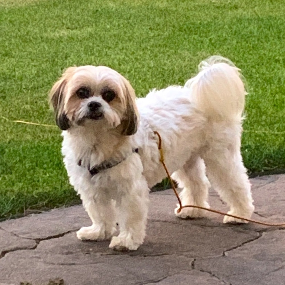 Meet your Posher, Kathy